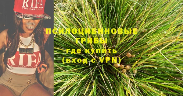крисы Армянск