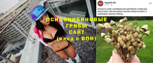амф Аркадак
