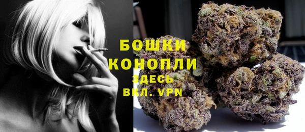 амф Аркадак