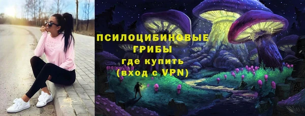 амф Аркадак
