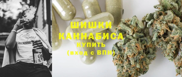 крисы Армянск