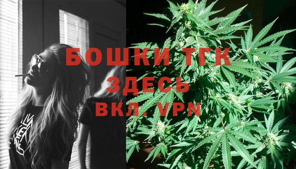 крисы Армянск