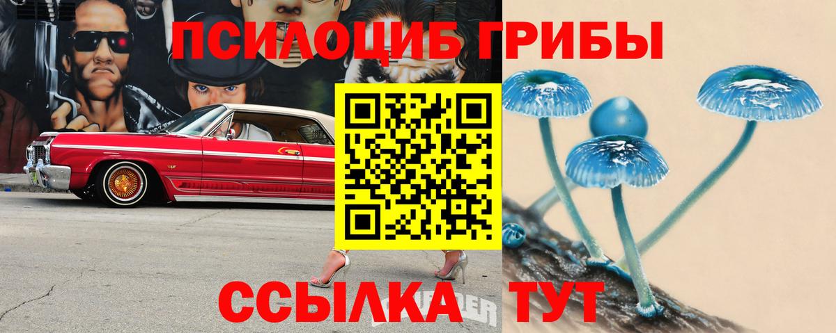 Псилоцибиновые грибы Psilocybine cubensis Кирово-Чепецк