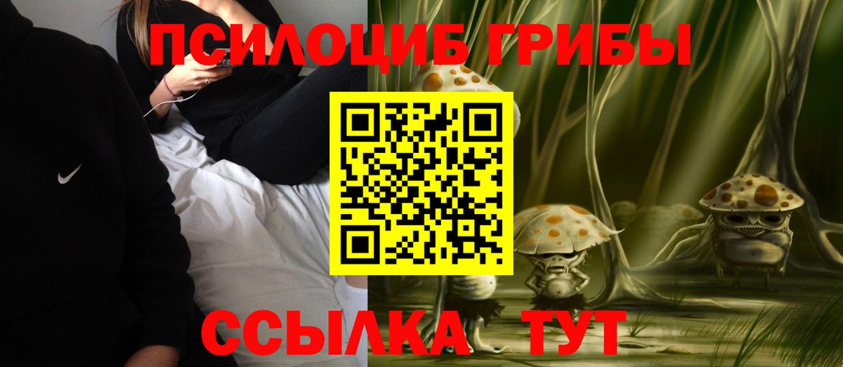 Псилоцибиновые грибы Psilocybine cubensis  Вход с VPN  Кирово-Чепецк  Галлюциногенные грибы MAGIC MUSHROOMS 