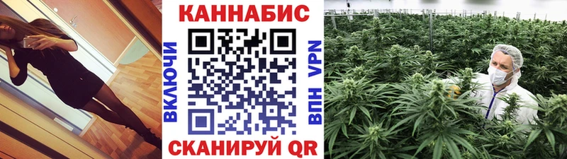 Шишки марихуана планчик Кирово-Чепецк